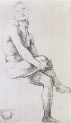 Studio di Adamo per la 